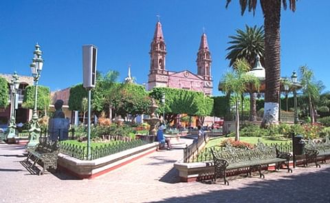 México: Harán primer feria regional de la papa en Michoacán México: Harán primer feria regional de la papa en Michoacán
