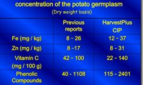  micronutrients in potato germplasm
