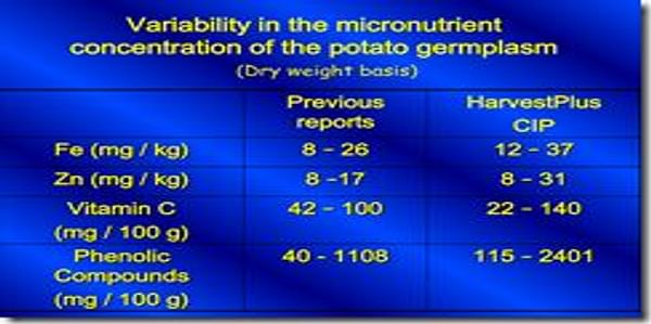  micronutrients in potato germplasm
