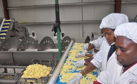 Kenyan Potato Processor Midlands Limited adds value...also to the farmgate