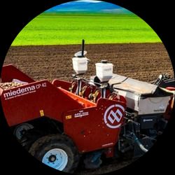 Miedema CP Potato Cup Planters