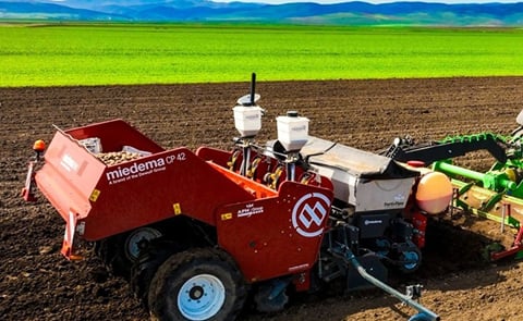 APH Group - Miedema CP Potato Cup Planters APH Group - Miedema CP Potato Cup Planters