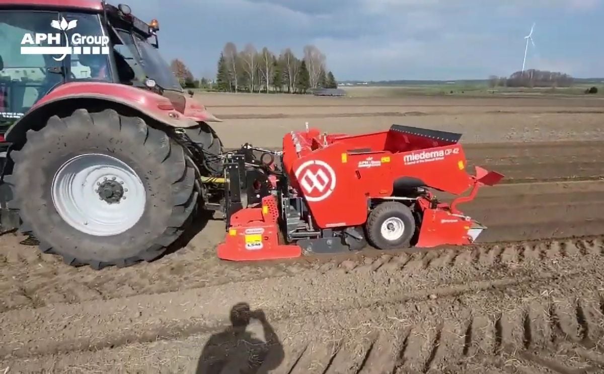  Miedema CP42