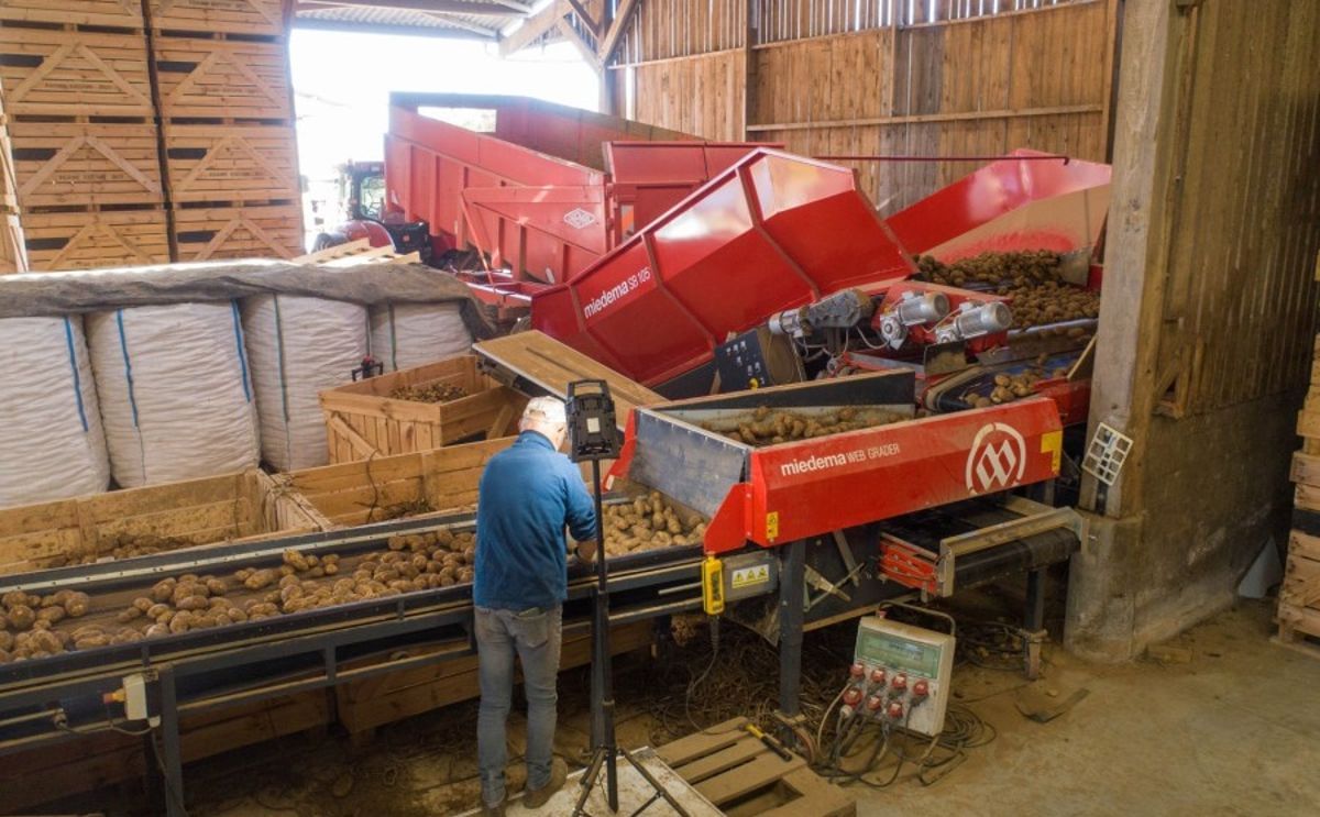 APH Group - Miedema SB receiving hoppers