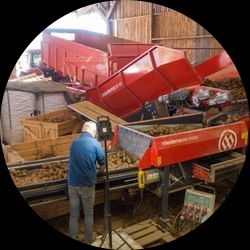 Miedema SB receiving hoppers