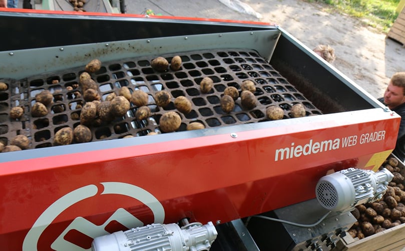 Miedema Web Grader Miedema Web Grader