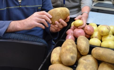 AUSVEG potato workshop set to lead growers forward AUSVEG potato workshop set to lead growers forward
