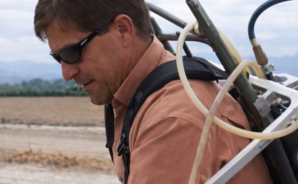 Focus on Potato webcast: Potato Growth And Development