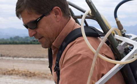 Focus on Potato webcast: Potato Growth And Development Focus on Potato webcast: Potato Growth And Development