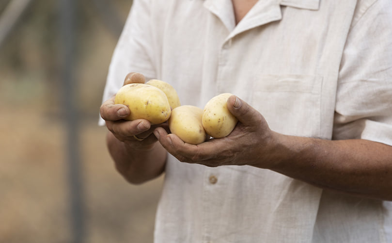 Modern Potato Cultivars: Meeting Climate and Market Challenges Modern Potato Cultivars: Meeting Climate and Market Challenges