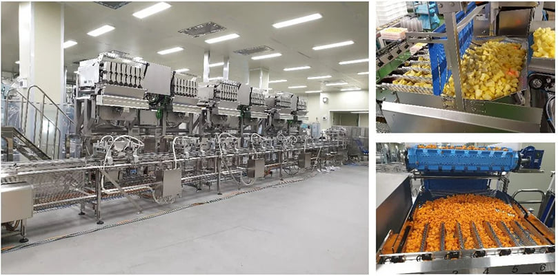 The Mini Weigher efficiency enables maintaining production levels while delivering fresh quality fruit. Courtesy: Newtec. The Mini Weigher efficiency enables maintaining production levels while delivering fresh quality fruit.(Courtesy: Newtec.)