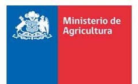 Crean en Chile red nacional de bancos de semillas para proteger patrimonio vegetal Crean en Chile red nacional de bancos de semillas para proteger patrimonio vegetal