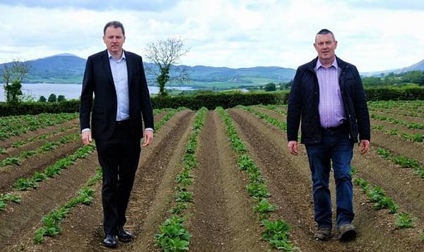 Ministers McConalogue and Hackett announce EUR 3 million investment scheme for the Seed Potato Sector