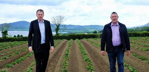 Ministers McConalogue and Hackett announce EUR 3 million investment scheme for the Seed Potato Sector