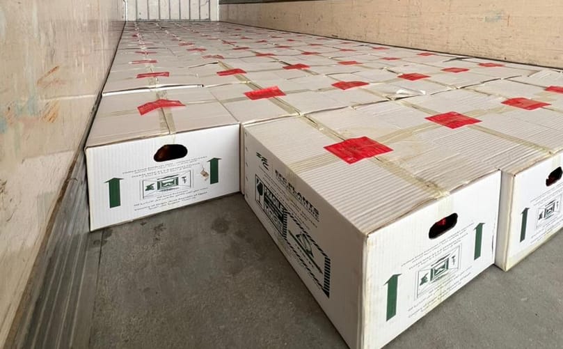 Minituber shipping to Libya Minituber shipping to Libya