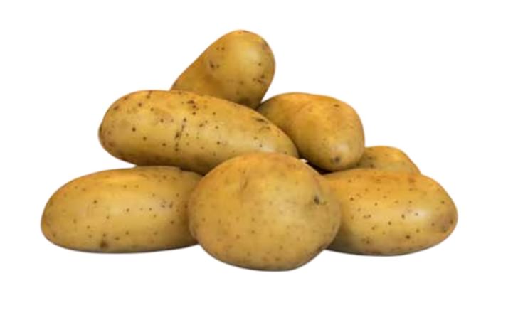 MISS MIGNONNE MISS MIGNONNE