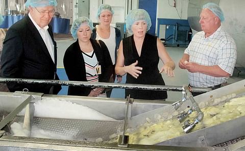 From left, West Virginia Commerce Secretary Ed Gaunch, Wood County Economic Development Executive Director Lindsey Piersol and economic development specialist Kate Barker with Wood County Economic Development watch as potato slices are rinsed during the c