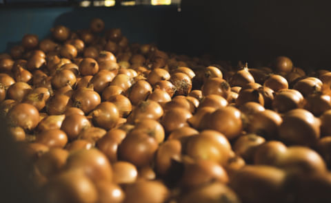 Mitolo Family Farms enters into strategic partnership with Ontario Teachers’ Pension Plan Mitolo Family Farms enters into strategic partnership with Ontario Teachers’ Pension Plan