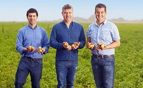 The Mitolo Group Growers - (from left to right): Darren Mitolo, Frank Mitolo and John Mitolo The Mitolo Group Growers - (from left to right): Darren Mitolo, Frank Mitolo and John Mitolo
