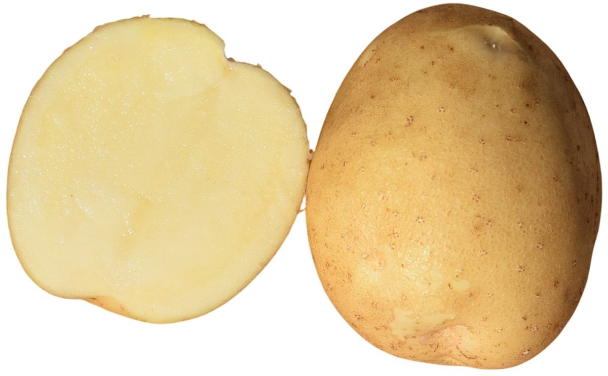 Unity One International Moa