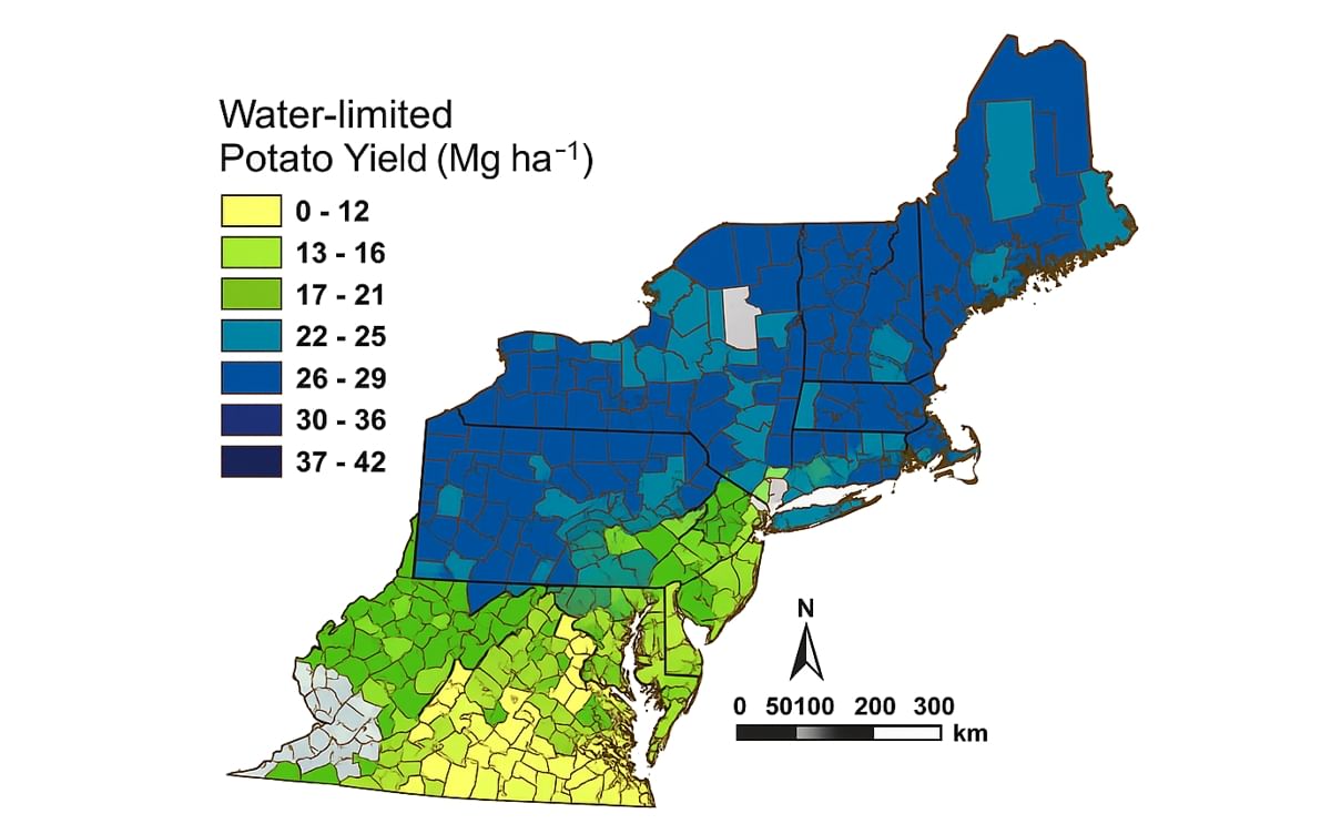 Average estimated potato yields for each county in the Eastern Seaboard region, assuming that water was limiting. Credit: Dave Fleisher, USDA-ARS. Average estimated potato yields for each county in the Eastern Seaboard region, assuming that water was limiting. Credit: Dave Fleisher, USDA-ARS.