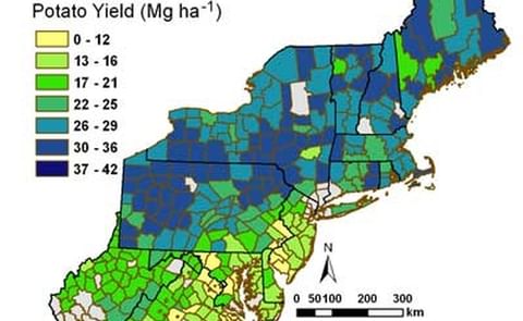 Average estimated potato yields for each county in the Eastern Seaboard region, assuming that water was limiting. (Courtesy: Dave Fleisher, USDA-ARS) Average estimated potato yields for each county in the Eastern Seaboard region, assuming that water was limiting. (Courtesy: Dave Fleisher, USDA-ARS)