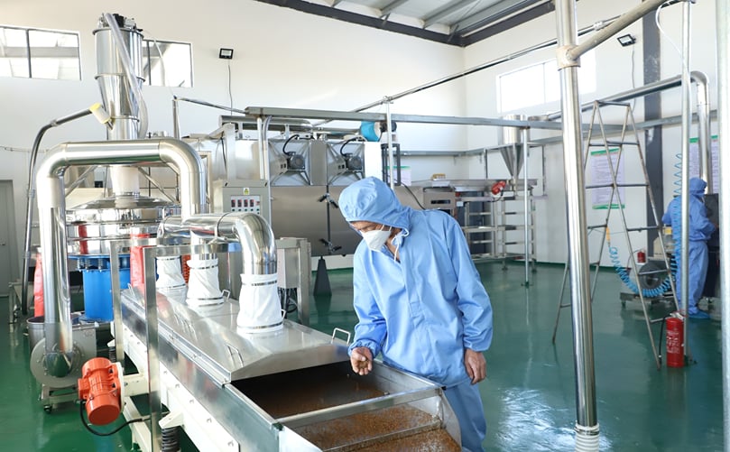 Modern grain processing facility in action Modern grain processing facility in action