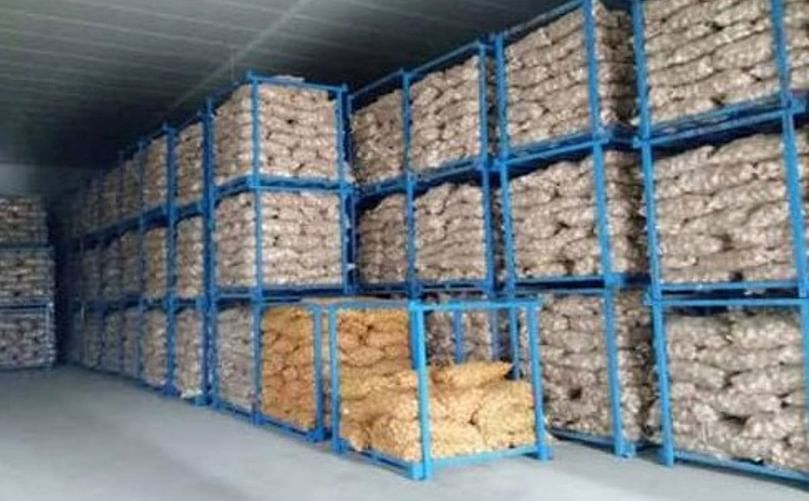 Modern cold storage facilities like this are helping reduce post-harvest losses in Kenya’s potato sector.