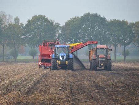 Moeizame zetmeeloogst (bekijk de reportage op Boerderij.nl) Moeizame zetmeeloogst (bekijk de reportage op Boerderij.nl)