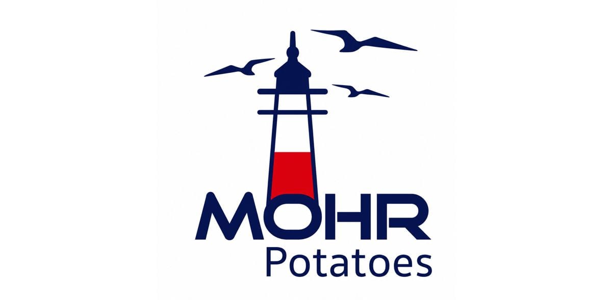Mohr GmbH & Co. KG