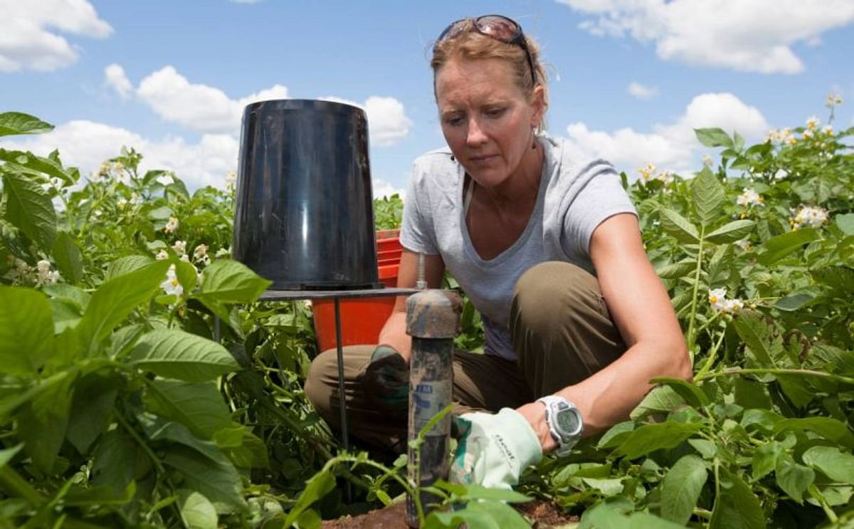 Moisture probe in a potato field to measure the moisture content of the soil (picture added in 2017)