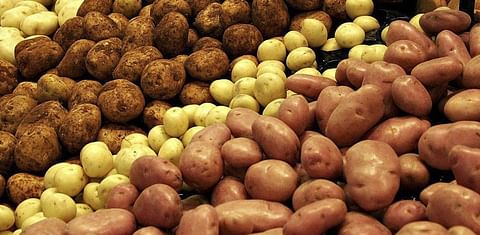 Potato production drops off in Moldova