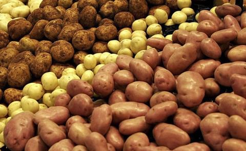 Potato production drops off in Moldova Potato production drops off in Moldova