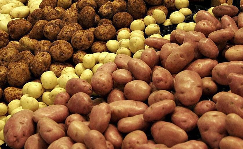 Potato production drops off in Moldova