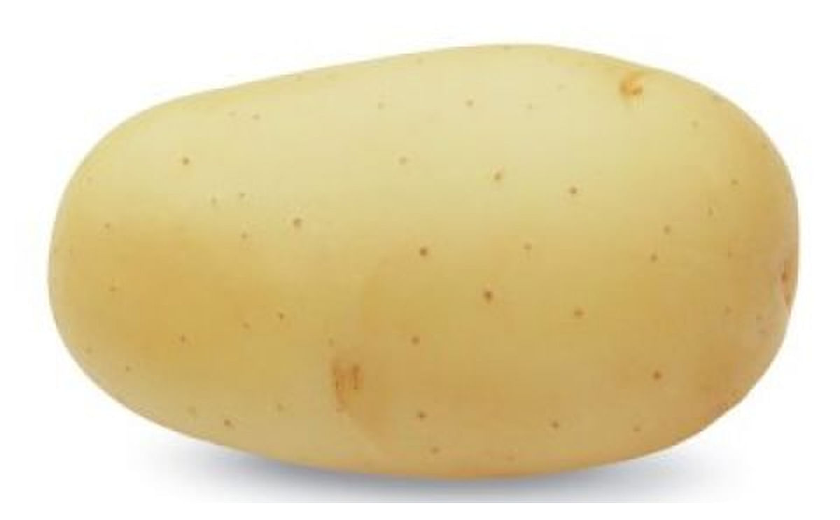 Creating the Mona Lisa out of Monalisa potatoes