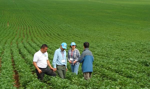 Mongolia says it can fully secure domestic demand for potato, wheat