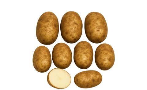 MONICA RUSSET MONICA RUSSET