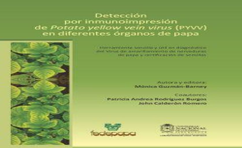 Desarrollan en Colombia una herramienta sencilla para el diagnóstico del virus de amarillamiento de nervaduras de papa (PYVV)