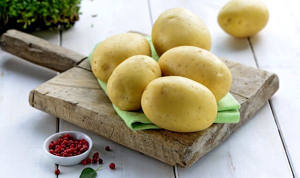 Innovation in German food retail trade: Europlant launches the Lower Carb Potato 