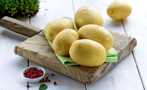 Innovation in German food retail trade: Europlant launches the Lower Carb Potato Innovation in German food retail trade: Europlant launches the Lower Carb Potato