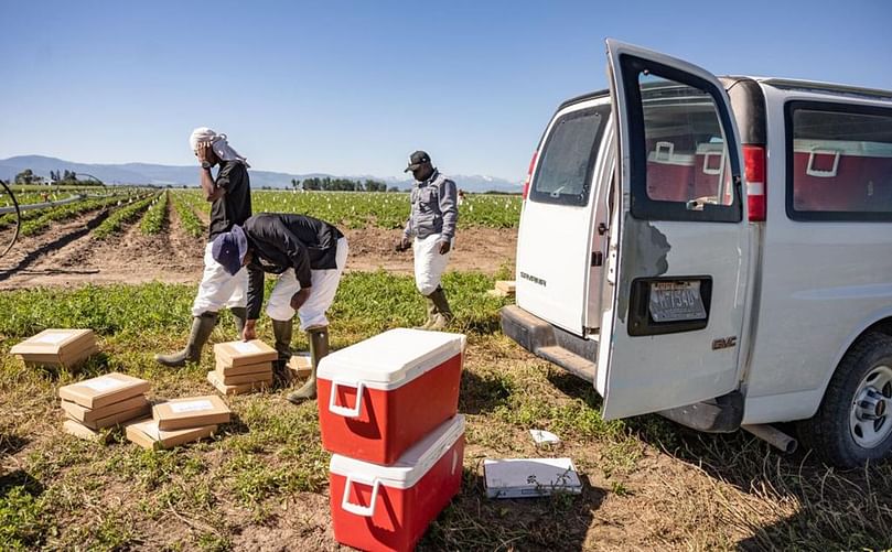 Montana State University employees prepare to collect potato leaf samples at Kimm Seed Potato Farm on July 12, 2022. Courtesy: Ridley Hudson/Chronicle Montana State University employees prepare to collect potato leaf samples at Kimm Seed Potato Farm on July 12, 2022. Ridley Hudson/Chronicle