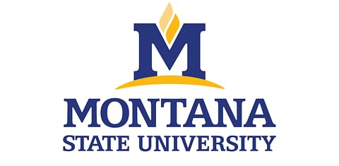 Montana State University (MSU) Potato Lab Montana State University (MSU) Potato Lab