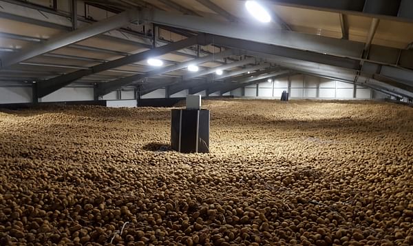 Mooij Agro builds potato storage with humidification for Lamb Weston Grower in Germany