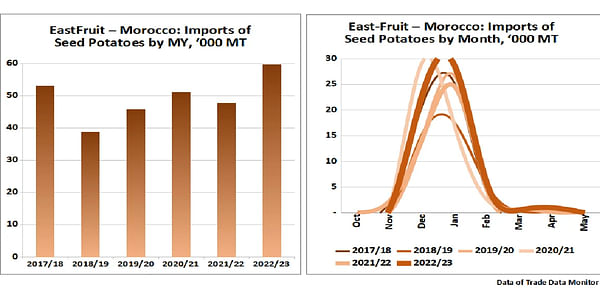 Seed potato imports reach at least five-year high in Morocco