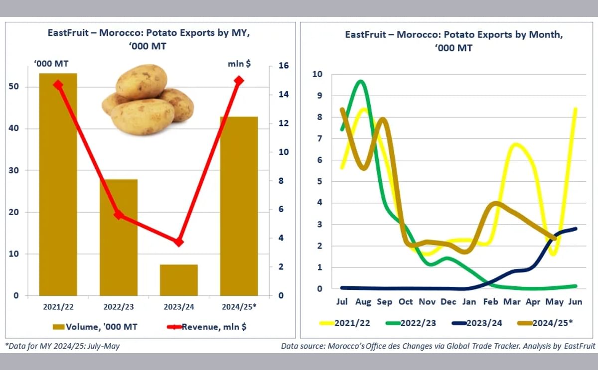 Morocco: Potato Export by month