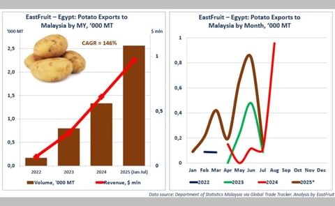 Egypt’s potato exports to Malaysia have surged with a remarkable 146% CAGR over three years, hitting record volumes and revenue in 2025. Monthly data shows peak shipments in May and June, driven by rising demand and reduced competition. Egypt’s potato exports to Malaysia have surged with a remarkable 146% CAGR over three years, hitting record volumes and revenue in 2025. Monthly data shows peak shipments in May and June, driven by rising demand and reduced competition.