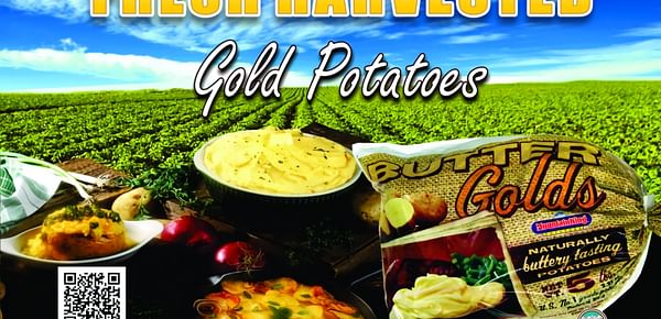 Following Successful Harvest, MountainKing Potatoes Unleashes Gold Rush Promotion