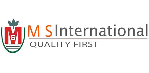 M S International