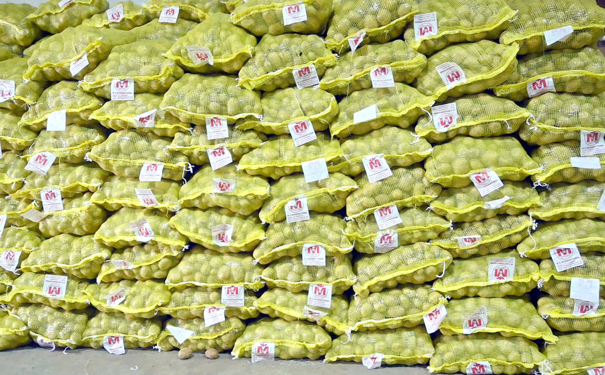 M S International: potato trade stat M S International: potato trade stat