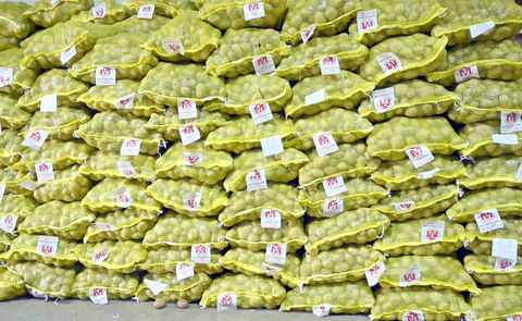 M S International 25kg potato bags
M S International 25kg potato bags
